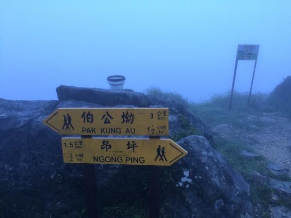 威海市环翠区：赶大集看大戏办年货 江家寨立交桥下不见不散